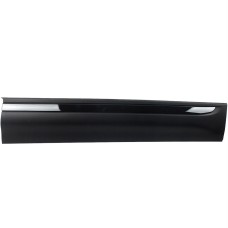 SIDE MOULDING - FRONT DOOR - W/GLOSS BLACK TRIM (RH)
