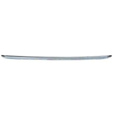 TAILGATE MOULDING - CHROME